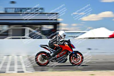 media/Mar-25-2024-Moto Forza (Mon) [[8d4319bd68]]/4-Novice Group/Session 4 Front Straight Speed Pans/